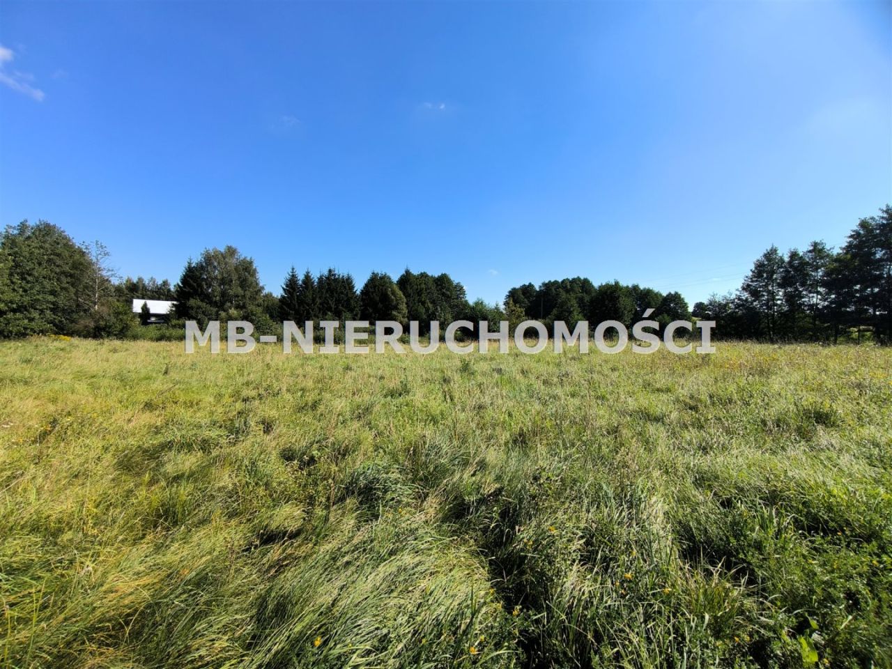 Działka rolna Wipsowo. Zdjęcie 3