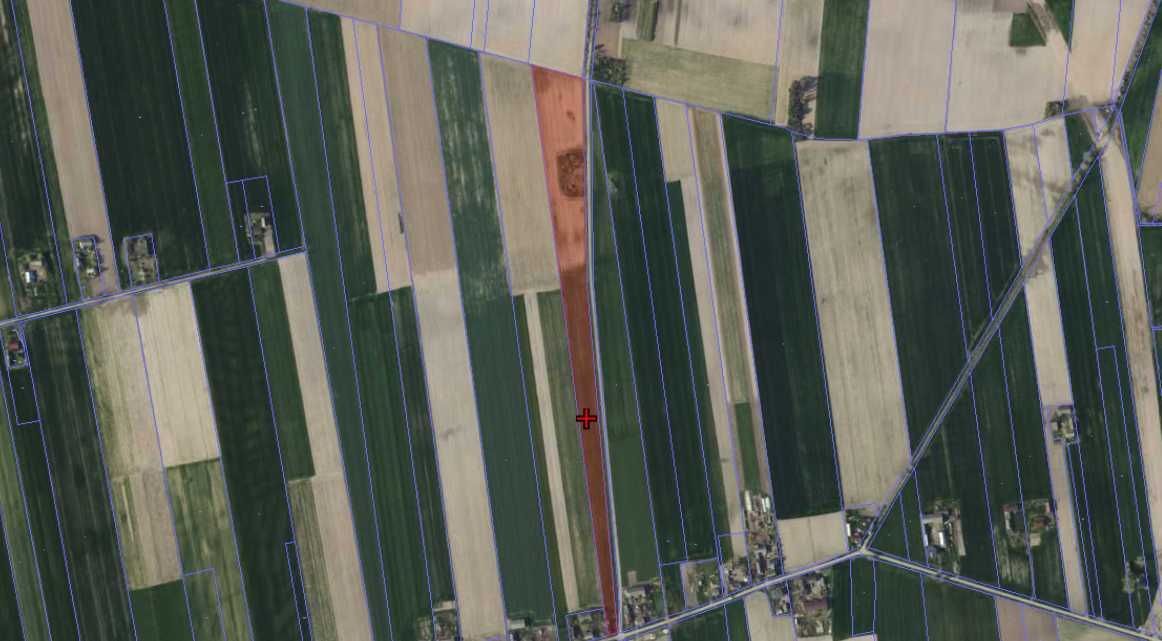 Działka rolna Biała. Zdjęcie 1