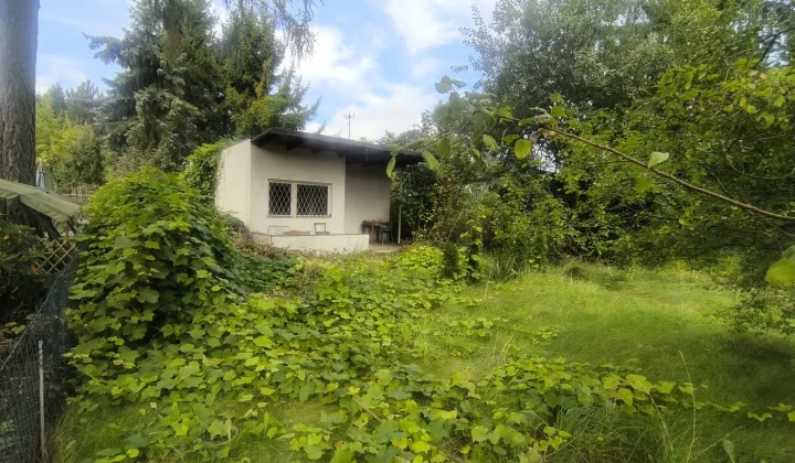 Działka rod Łódź Bałuty