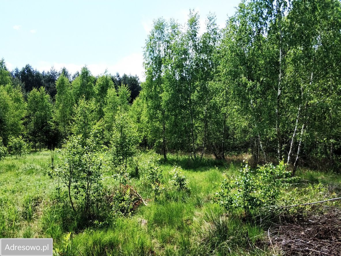 Działka budowlana Osęczyzna. Zdjęcie 3