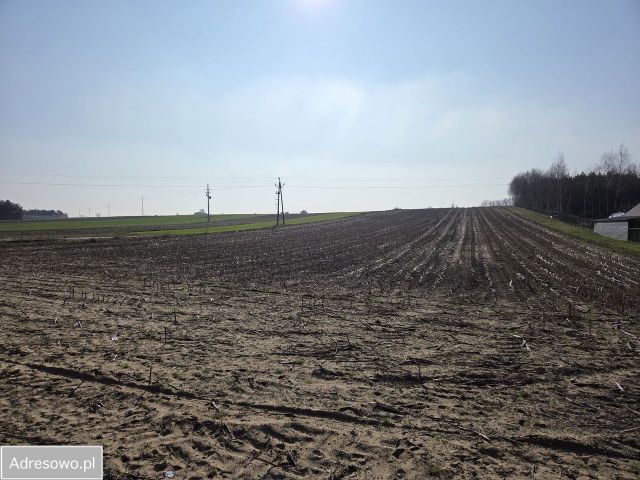 Działka budowlana Kramsk Kramsk-Łęgi. Zdjęcie 1