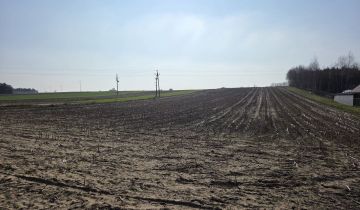 Działka budowlana Kramsk