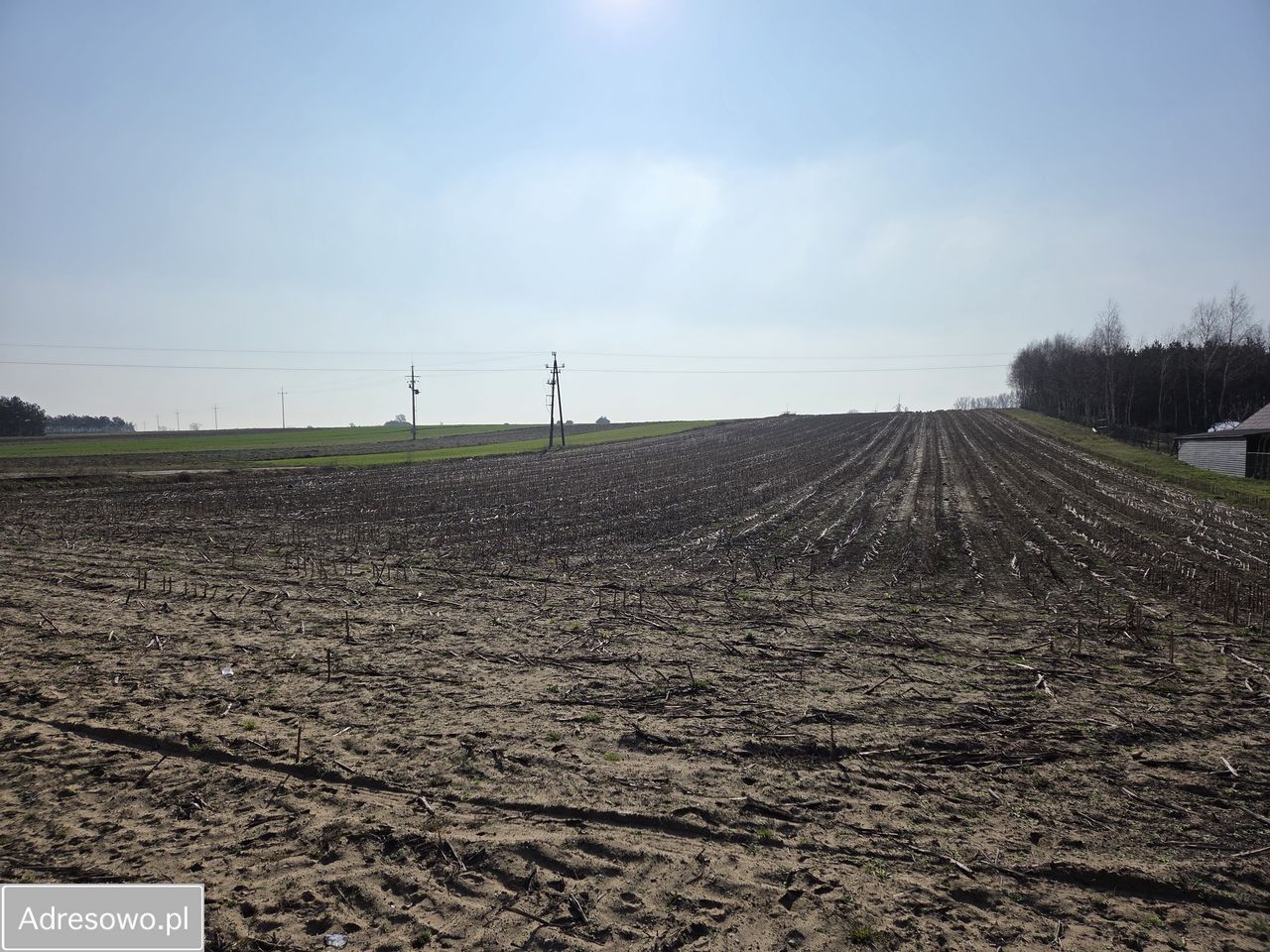 Działka budowlana Kramsk Kramsk-Łęgi