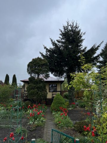 Działka rod Kielce Nowy Folwark, ul. Gustawa Morcinka. Zdjęcie 1