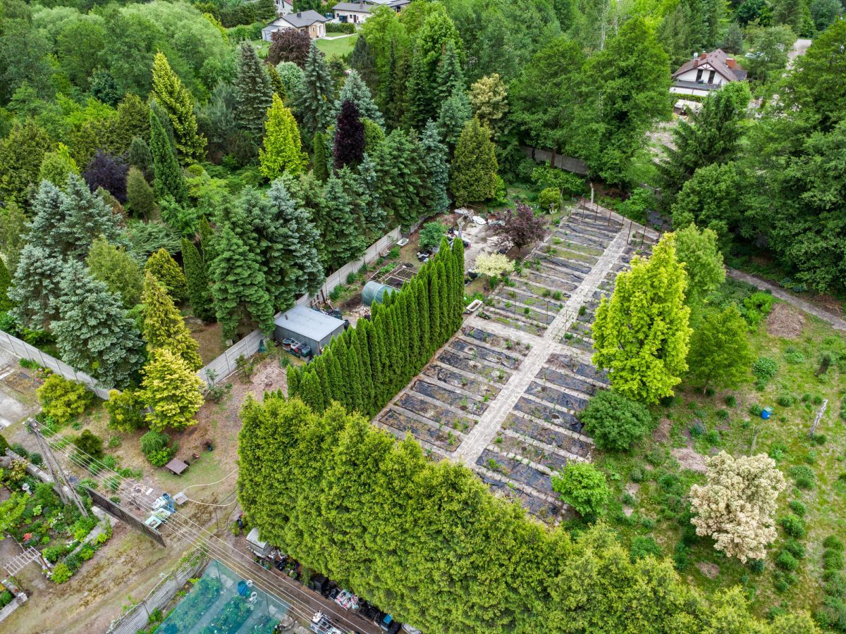 Działka inwestycyjna Łódź, ul. Aleksandrowska. Zdjęcie 3