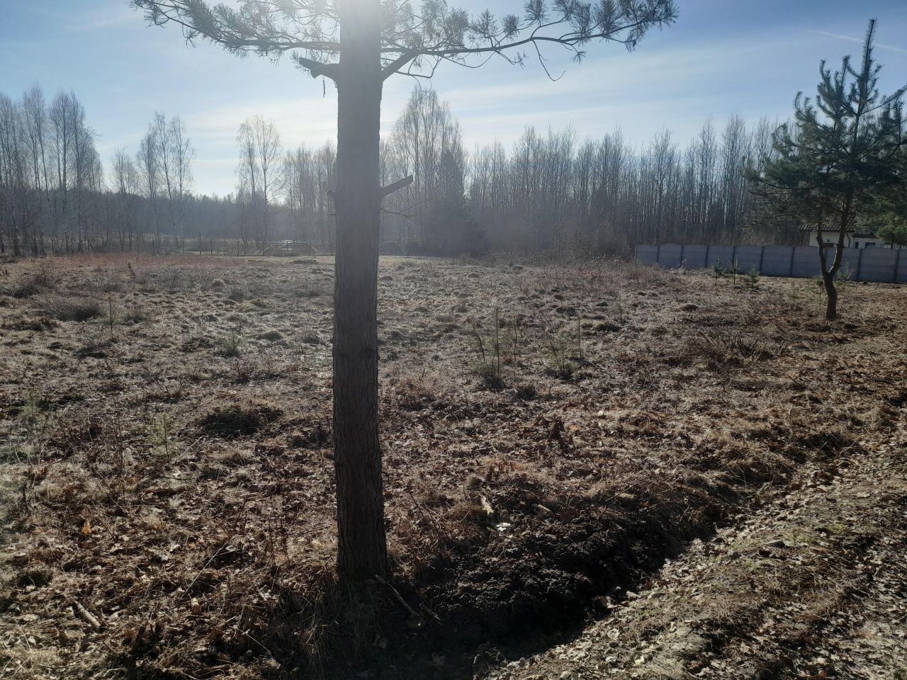 Działka budowlana Samsonów-Podlesie. Zdjęcie 2