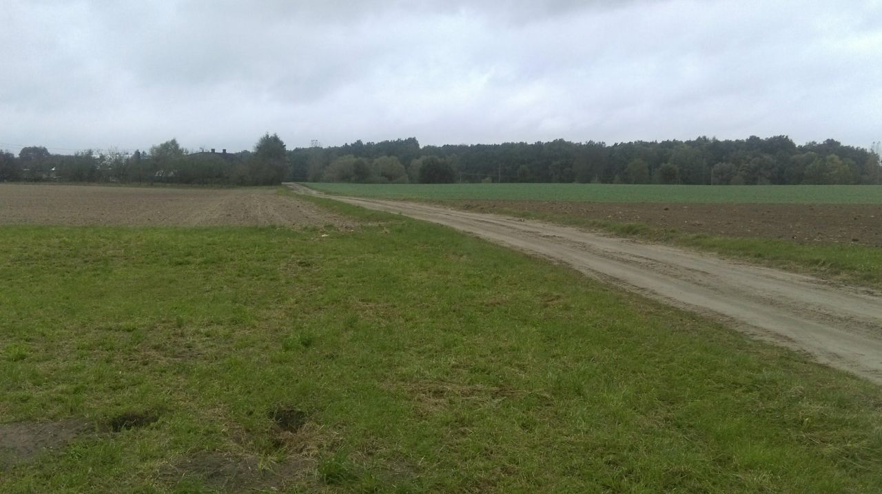 Działka budowlana Grzebienisko, ul. Miodowa. Zdjęcie 4