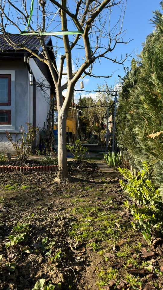 Działka rod Kraków Wzgórza Krzesławickie, Kocmyrzowska 38. Zdjęcie 9