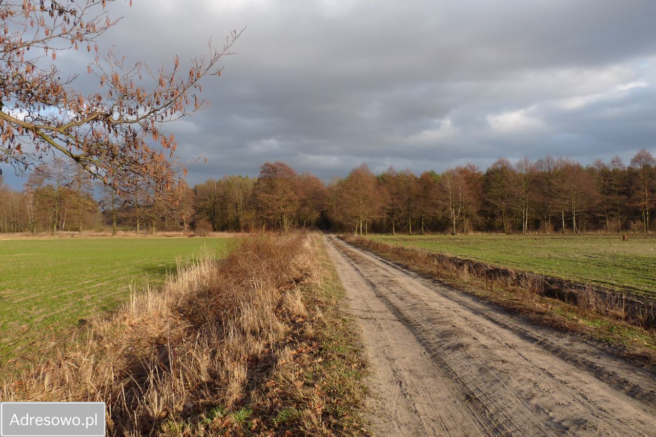 Działka budowlana Radziwiłłów. Zdjęcie 20