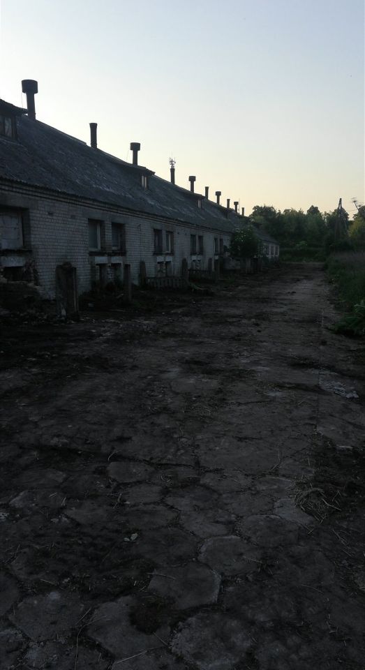 Działka rolno-budowlana Grzmiąca. Zdjęcie 3