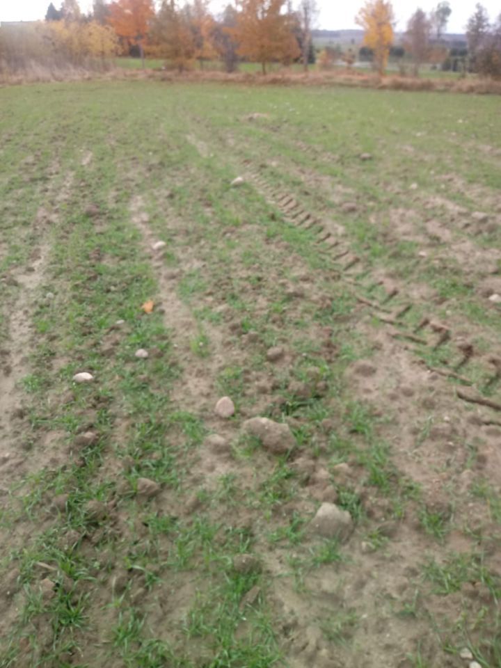 Działka rolno-budowlana Więckowy. Zdjęcie 3