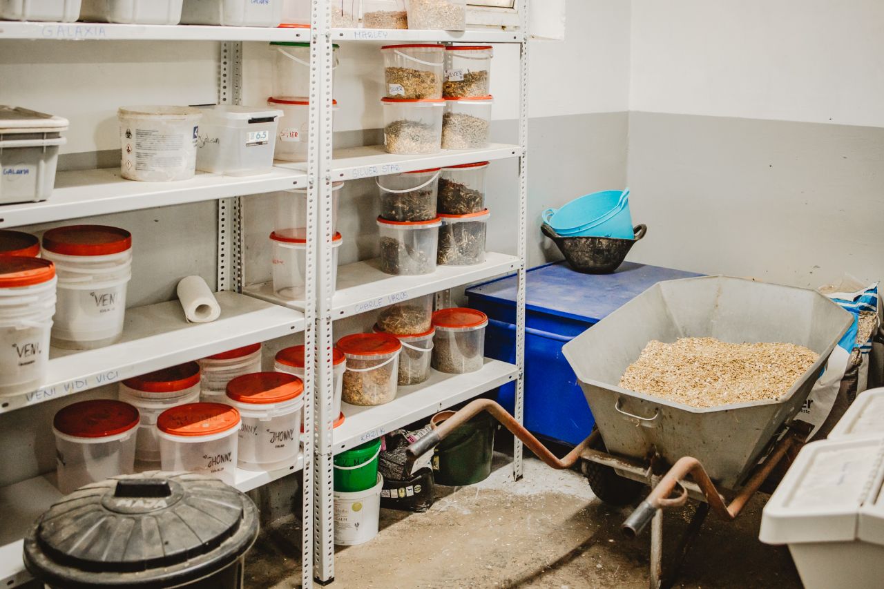 Nieruchomość komercyjna Kębliny, ul. Włościańska. Zdjęcie 11