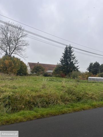 Działka rolno-budowlana Zalipie. Zdjęcie 1