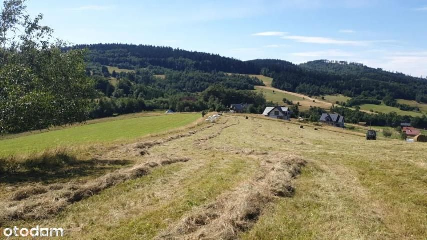 Działka rolna Walim, ul. Adama Mickiewicza. Zdjęcie 10