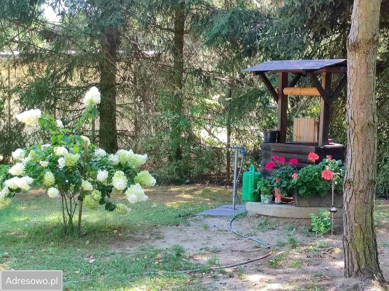 Działka budowlana Siedlątków. Zdjęcie 10