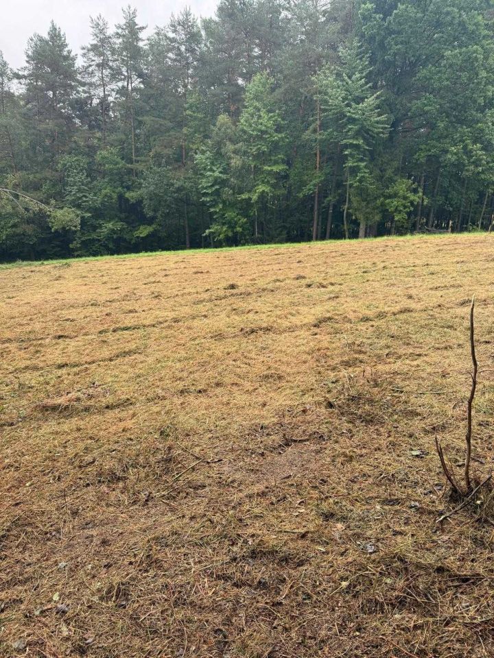 Działka rolna Limanowa Lipowe. Zdjęcie 4