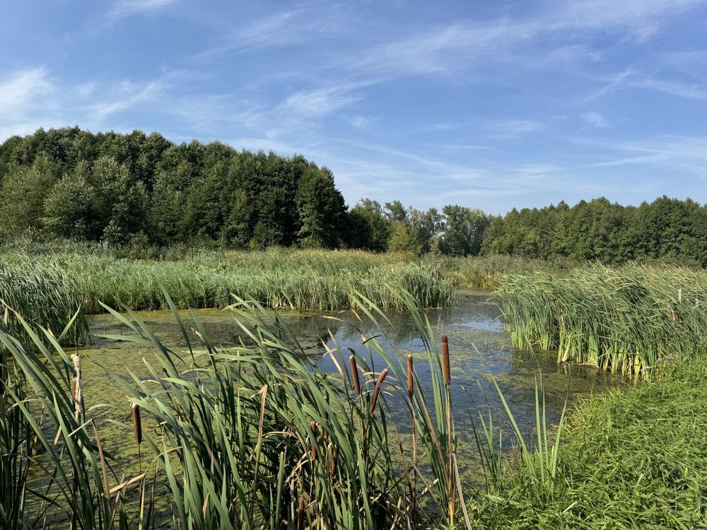 Działka budowlana Gąsiorowo. Zdjęcie 3