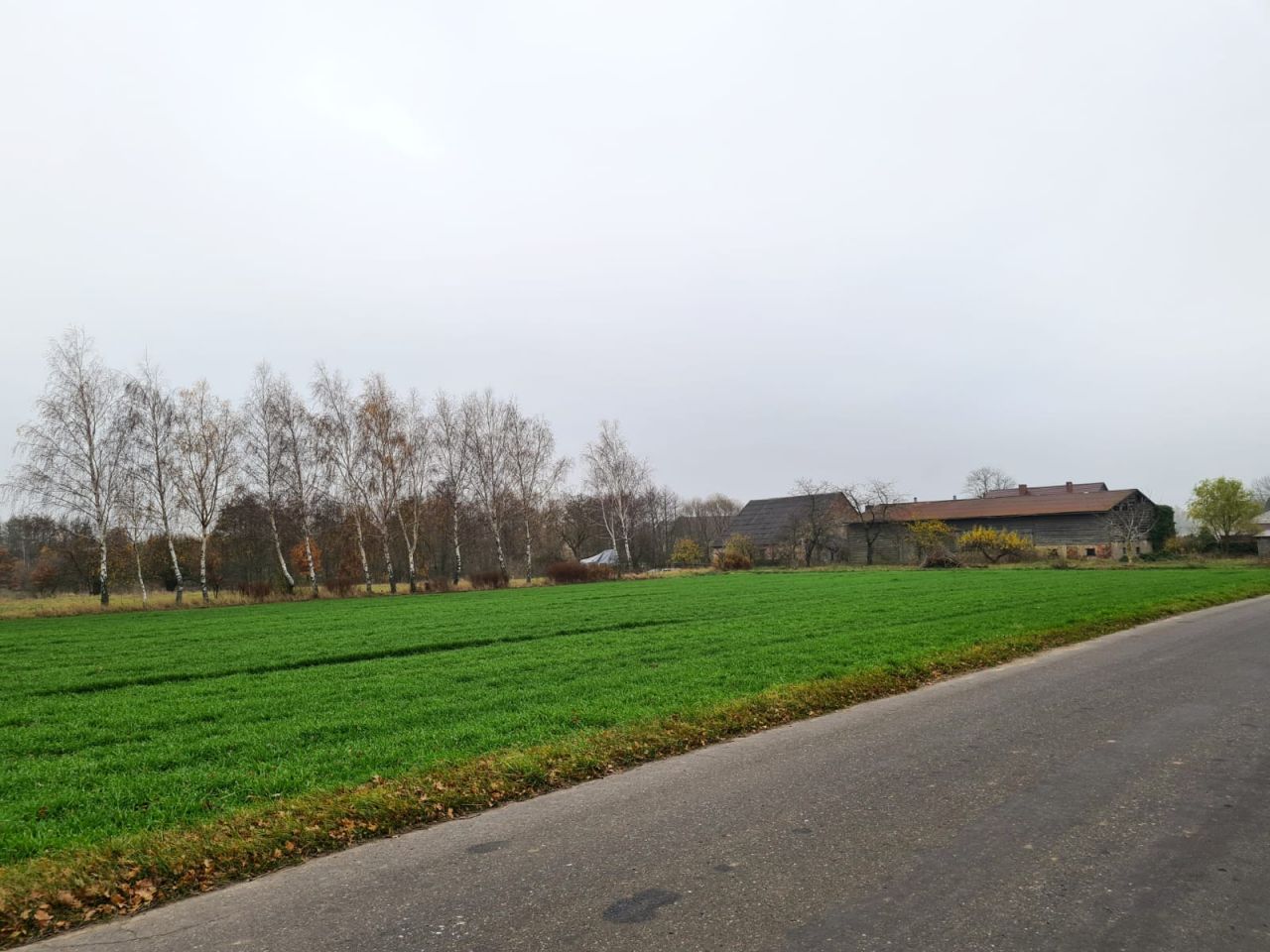 Działka rolna Trzebawie. Zdjęcie 2