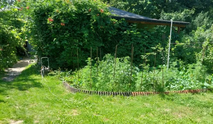 Działka rod Warszawa Ochota, ul. Wawelska