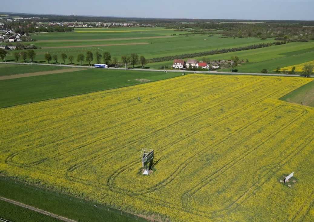 Działka inwestycyjna Gogolin Strzebniów. Zdjęcie 7