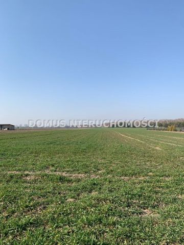 Działka budowlana Złotniki. Zdjęcie 1