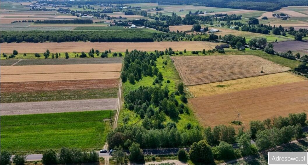 Działka rolno-budowlana Złotopolice. Zdjęcie 2
