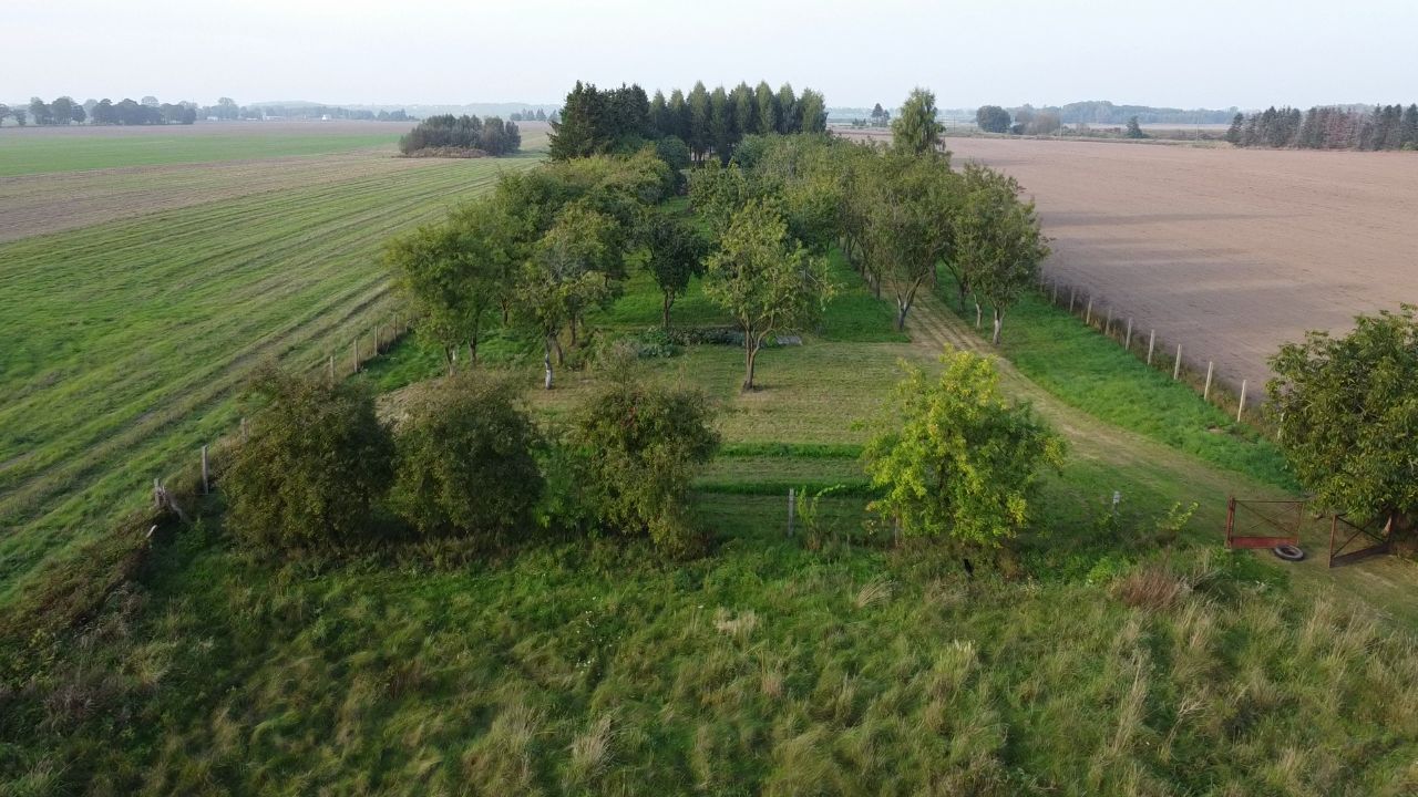Działka rolno-budowlana Jarszewo. Zdjęcie 12