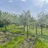 Działka rekreacyjna Międzychód. Zdjęcie 2