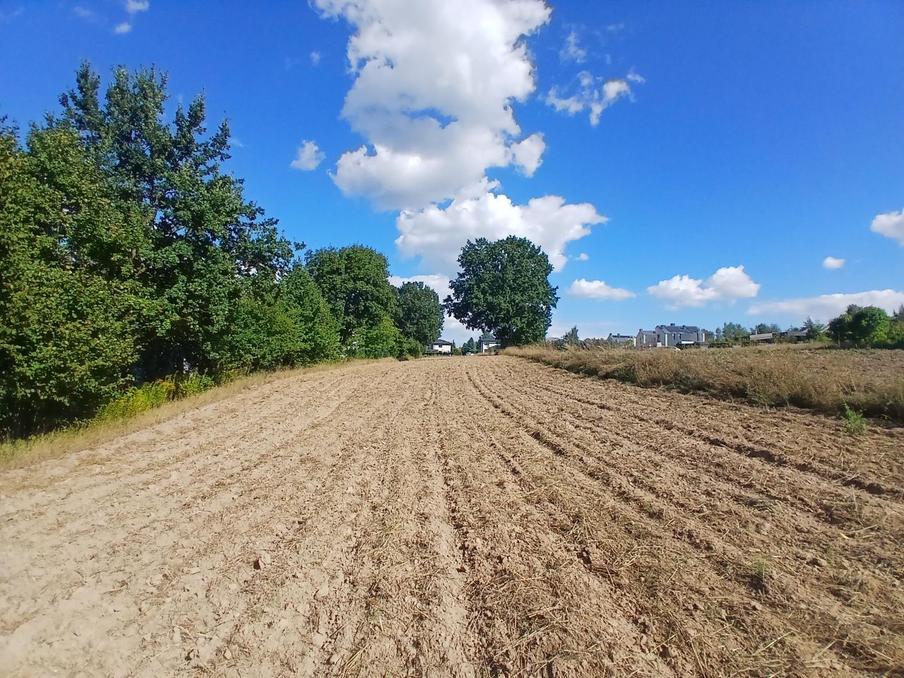 Działka rolno-budowlana Konopnica. Zdjęcie 10