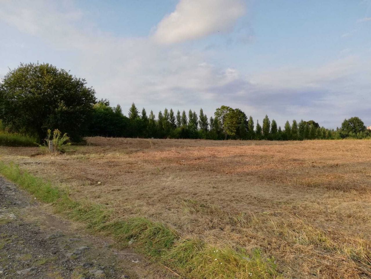 Działka budowlana Bytom