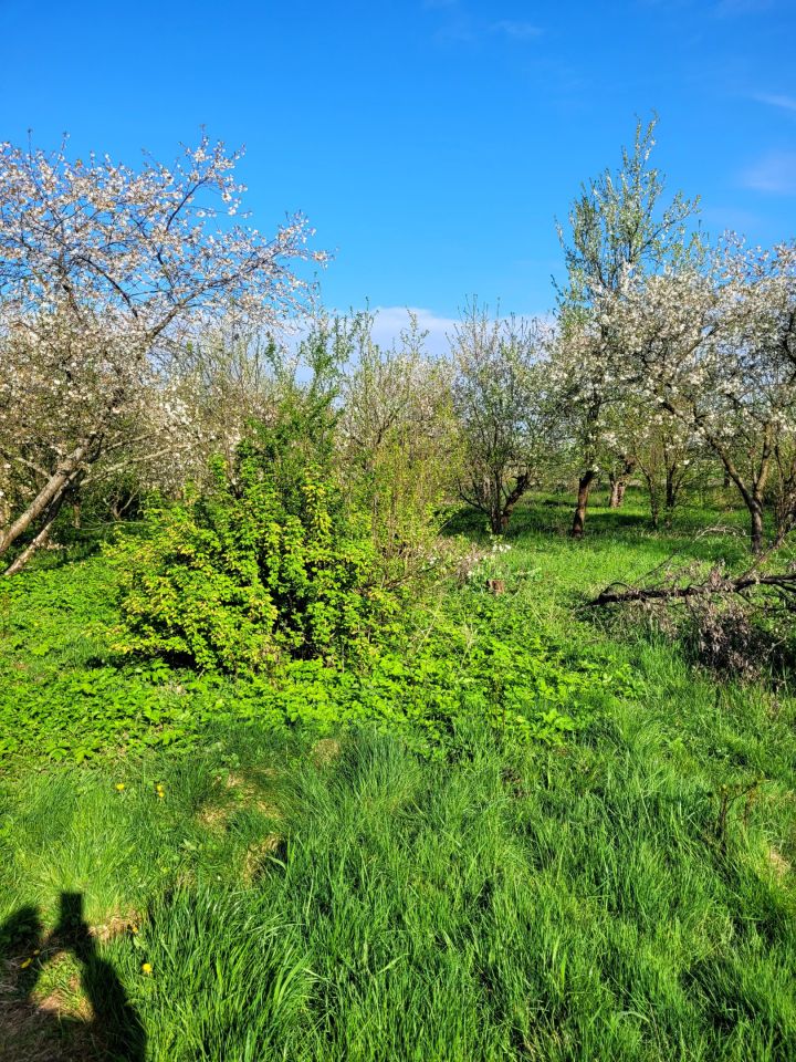Działka budowlana Gierałcice, ul. Opolska. Zdjęcie 6