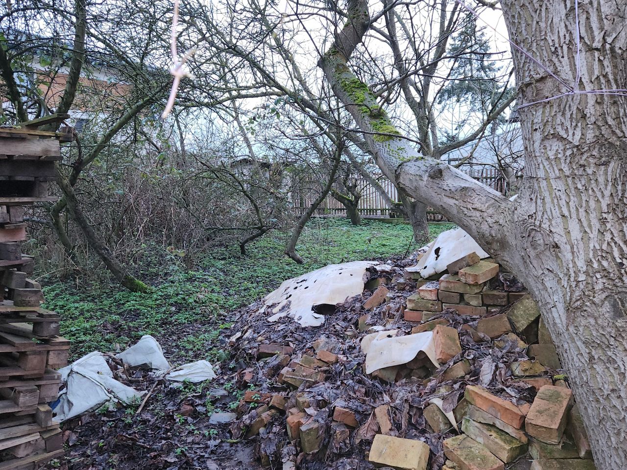 dom wolnostojący, 5 pokoi Dołuje, ul. Daniela. Zdjęcie 7