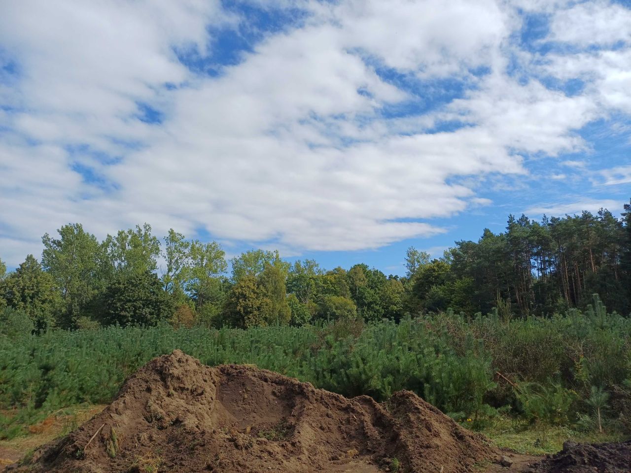 Działka budowlana Rościęcino. Zdjęcie 2