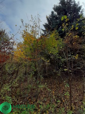 Działka budowlana Rusiec. Zdjęcie 4