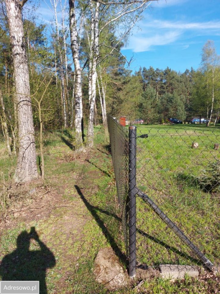 Działka leśna Drzewociny. Zdjęcie 2