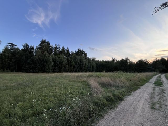 Działka rolno-budowlana Henrykowo. Zdjęcie 1