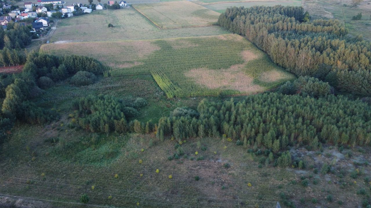 Działka rolna Żabiny. Zdjęcie 3