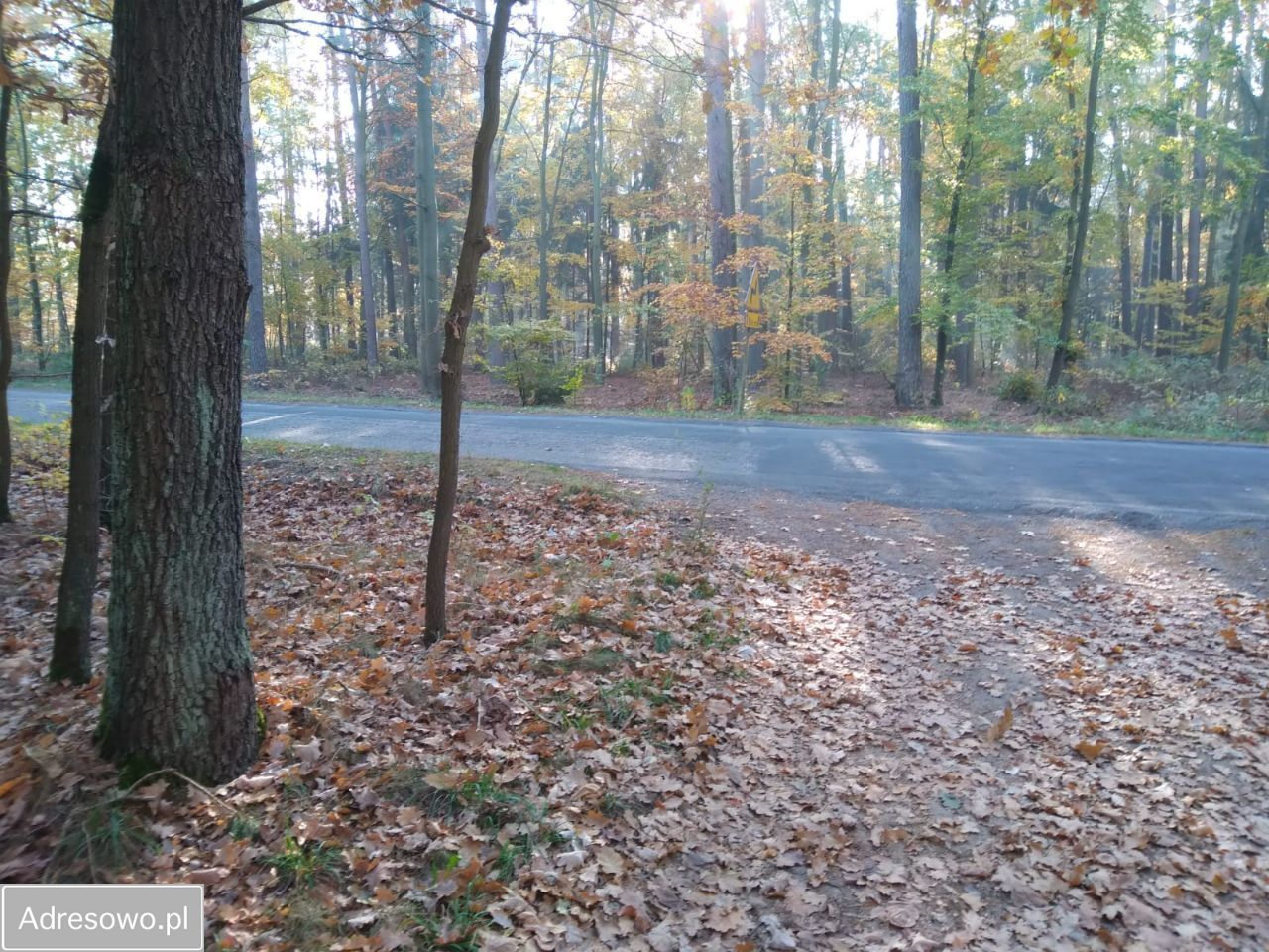 Działka budowlana Nowa Wieś. Zdjęcie 12