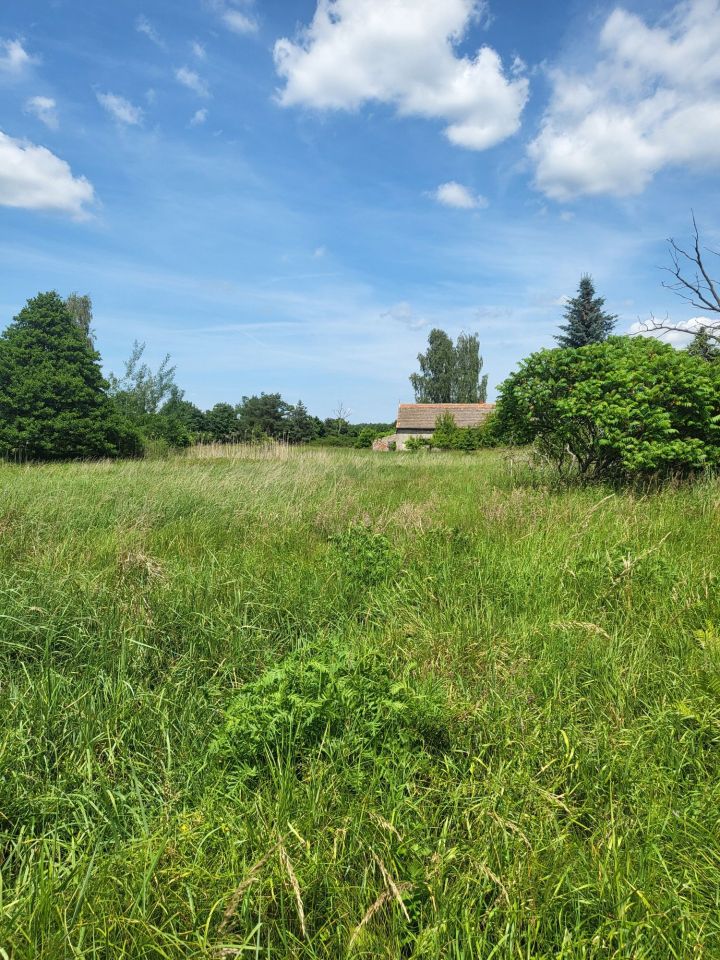 Działka inwestycyjna Lubów. Zdjęcie 5