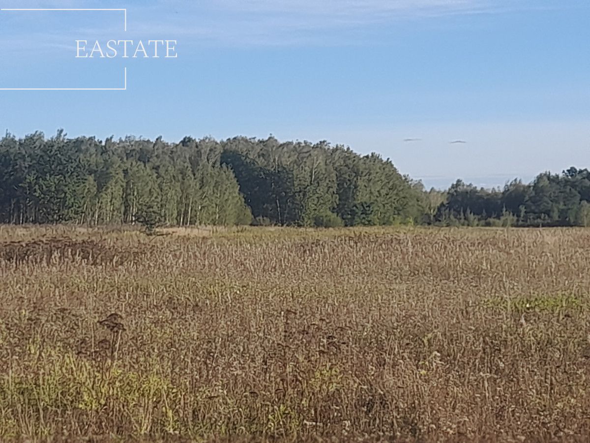 Działka budowlana Prażmów. Zdjęcie 3