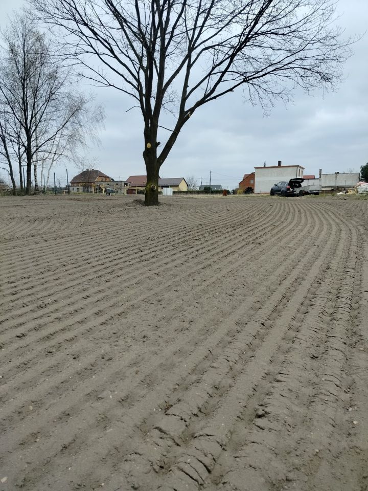 Działka rolno-budowlana Stare Koźle. Zdjęcie 5