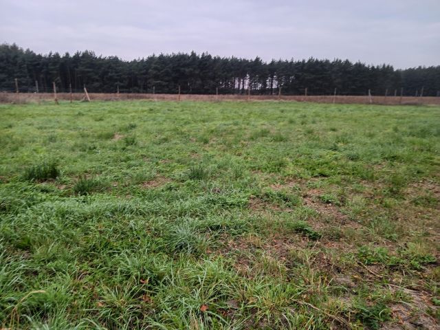 Działka budowlana Kamień Wielki, ul. Gorzowska. Zdjęcie 1