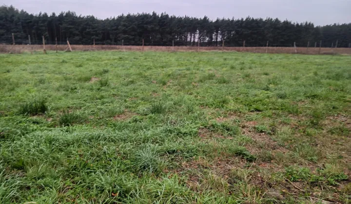 Działka budowlana Kamień Wielki, ul. Gorzowska