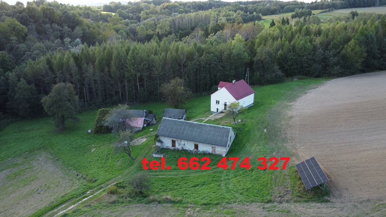 gospodarstwo, 3 pokoje Przeczyca Podlesie. Zdjęcie 4