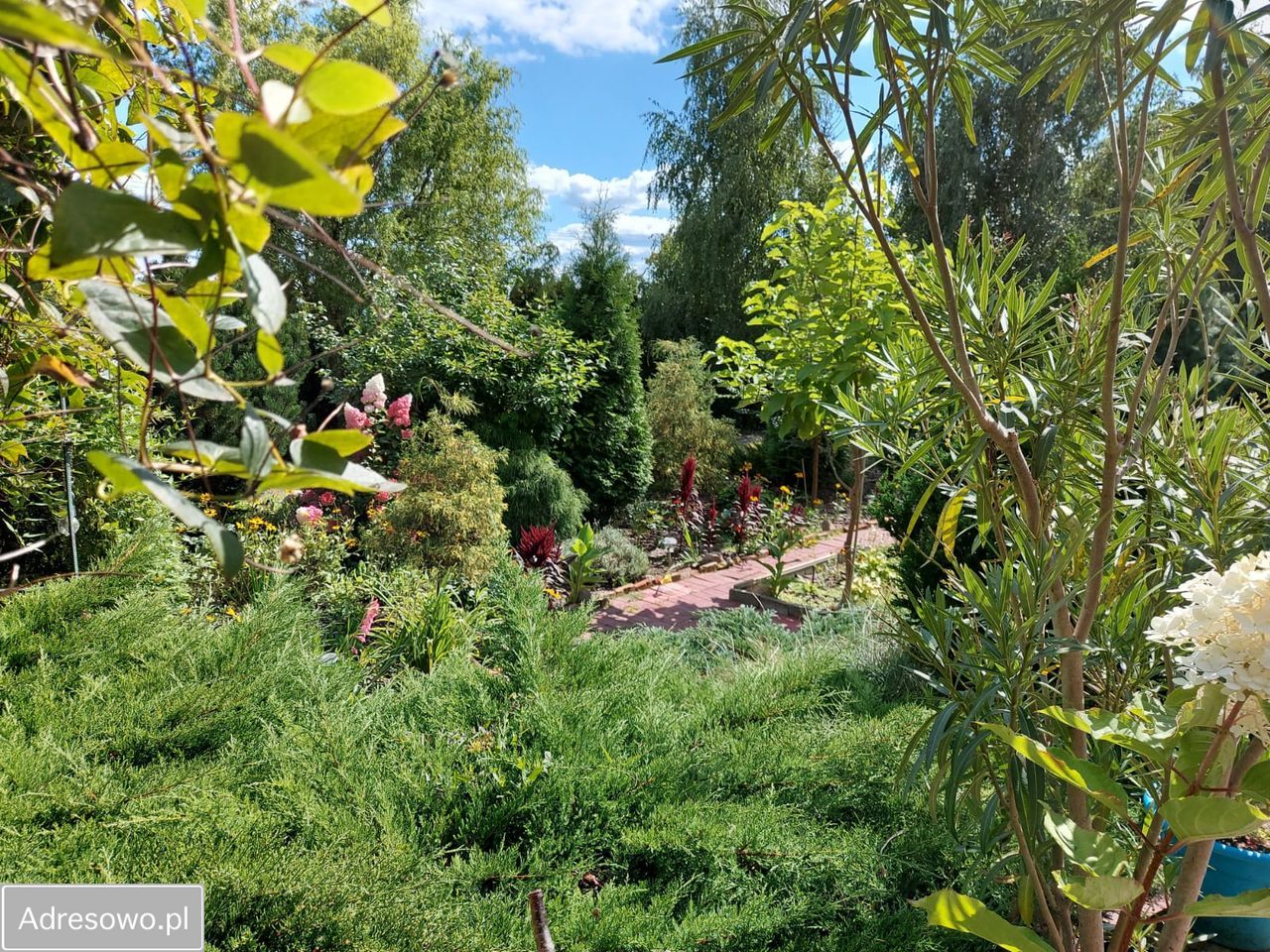 dom wolnostojący, 6 pokoi Piotrków Trybunalski. Zdjęcie 11