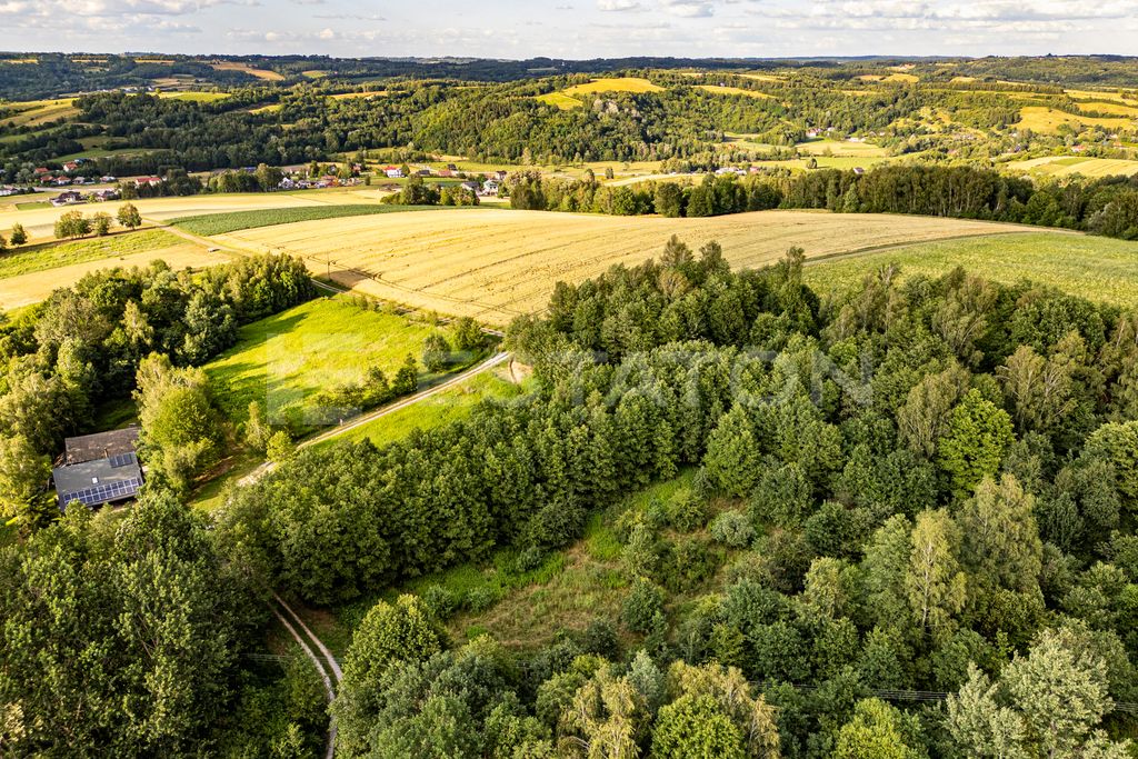 Działka rolna Nowy Borek. Zdjęcie 8