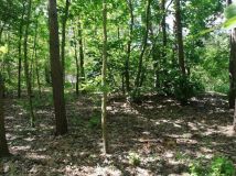 Działka rekreacyjna Popielżyn-Zawady. Zdjęcie 2