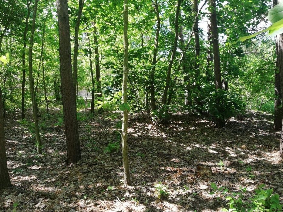 Działka rekreacyjna Popielżyn-Zawady. Zdjęcie 3