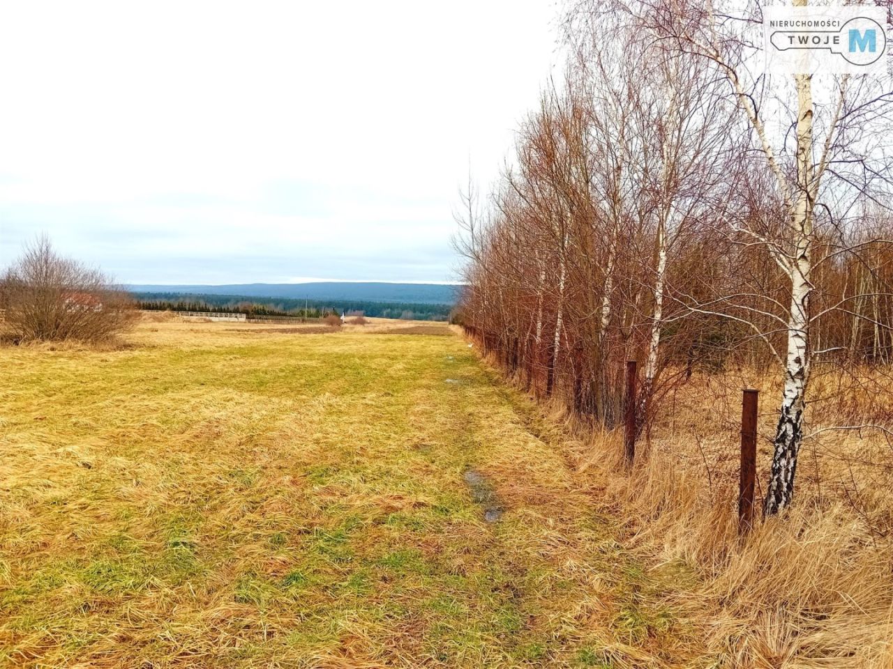 Działka budowlana Wilków. Zdjęcie 2