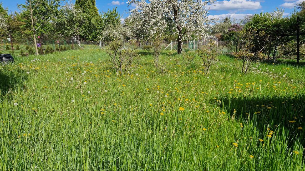 Działka rod Świdnica. Zdjęcie 5